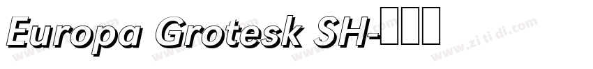 Europa Grotesk SH字体转换